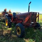 Hanomag 401 perfect, Zakelijke goederen, Landbouw | Tractoren, 80 tot 120 Pk, Gebruikt, 5000 tot 7500, Ophalen