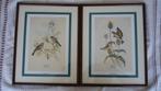 KADERS (2) + VOGELPRINTS, Ophalen, Minder dan 50 cm, Nieuw, Minder dan 50 cm