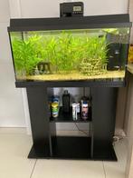 Aquarium met toebehoren, Animaux & Accessoires, Utilisé, Enlèvement ou Envoi