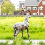 cerf - Beaux oiseaux, Antiquités & Art, Curiosités & Brocante, Enlèvement ou Envoi