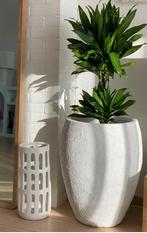 Grand cache pot, Jardin & Terrasse, Pots de fleurs, 25 à 40 cm, Intérieur, Enlèvement, Béton