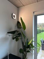 SET 5 wandlampen LED, Ophalen, Zo goed als nieuw, Kunststof, Modern