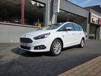 Ford S-Max Titanium 2.0 TDCi 190ch, Auto's, Ford, Monovolume, 4 cilinders, Wit, Leder
