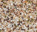 Ontkiemende zaden: verschillende hoeveelheden beschikbaar, Dieren en Toebehoren, Dierenvoeding, Ophalen, Vogel