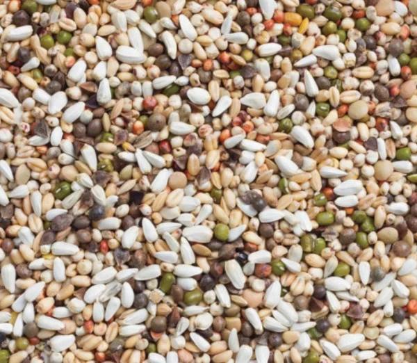 Ontkiemende zaden: verschillende hoeveelheden beschikbaar, Dieren en Toebehoren, Dierenvoeding, Vogel, Ophalen