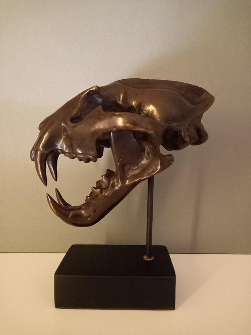 Bronzen schedel sneeuwluipaard, Antiek en Kunst, Antiek | Brons en Koper, Brons, Ophalen of Verzenden