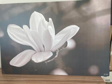 Prachtige canvas bloem beschikbaar voor biedingen