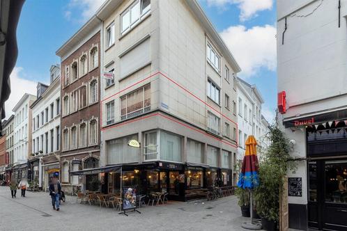 Appartement te koop in Antwerpen, 2 slpks, Immo, Huizen en Appartementen te koop, Appartement, D