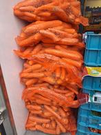 Voeder wortelen, Animaux & Accessoires, Moutons, Chèvres & Cochons