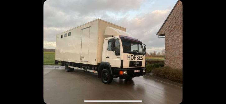 MAN Paardenvrachtwagen 5-paards + mobilhome, Autos, Camions, MAN, Enlèvement