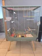 Cage oiseaux, Ophalen, Zo goed als nieuw, Volière