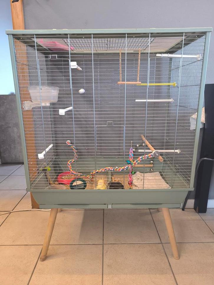 Cage oiseaux, Dieren en Toebehoren, Vogels | Hokken en Kooien, Zo goed als nieuw, Volière, Ophalen