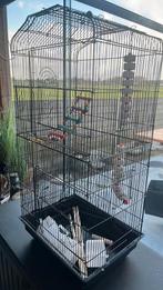 vogelkooi met assecoires, Dieren en Toebehoren, Ophalen, Zo goed als nieuw, Vogelkooi