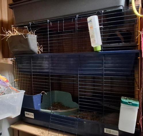 Cavia/konijnen flat met 2 hooiruifjes, Dieren en Toebehoren, Knaagdieren en Konijnen | Hokken en Kooien, Zo goed als nieuw, Kooi