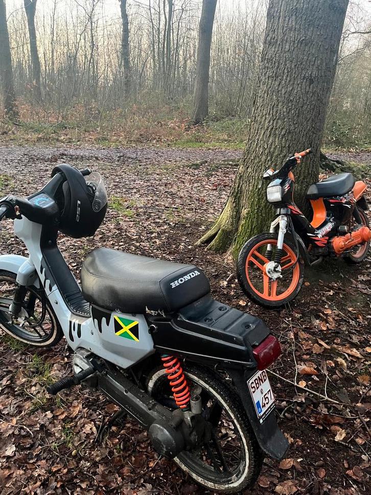 Wallaroo B klasse, Fietsen en Brommers, Brommers | Oldtimers, Klasse B (45 km/u), Ophalen