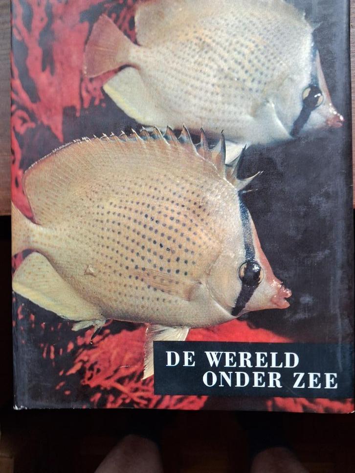 boeken - fraaie reeks boeken uit de reeks Artis, Boeken, Reisverhalen, Zo goed als nieuw, Afrika, Ophalen