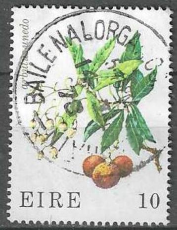 Ierland 1978 - Yvert 379 - Bloemen (ST) beschikbaar voor biedingen