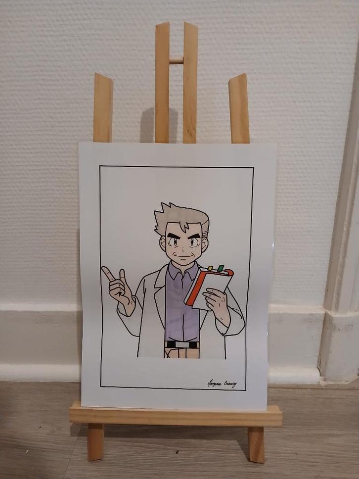 Pokémon-poster, Antiek en Kunst, Kunst | Tekeningen en Fotografie, Ophalen of Verzenden