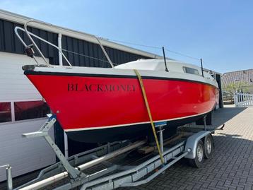 Rubin 23 + trailer beschikbaar voor biedingen