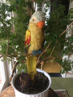 Vintage Parrot Merrythought 1930-40, Ophalen of Verzenden
