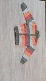 Trui, maat 92, Kinderen en Baby's, Kinderkleding | Maat 92, Ophalen of Verzenden, Zo goed als nieuw, Jongen, Trui of Vest