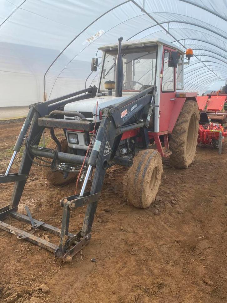 Steyr 8060, Zakelijke goederen, Landbouw | Tractoren, 7500 tot 10000, Steyr, tot 80 Pk, Gebruikt, Ophalen