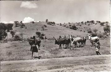 Carte postale Ruanda-Urundi (Expo 58) - paysage champètre disponible aux enchères