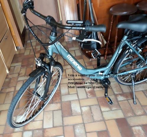 elektrische fiets, Fietsen en Brommers, Elektrische fietsen, Nieuw, Ophalen