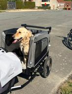 Hondenfietskar te koop voor honden tot 40 kg, Fietsen en Brommers, Fietsen | Bakfietsen, Ophalen, Zo goed als nieuw