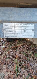 3 asser kipper henra  bwj 2018, Ophalen of Verzenden