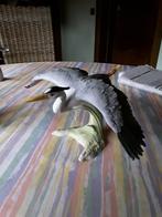 GOEBEL  FISHREIGER, Ophalen, Zo goed als nieuw, Vogel