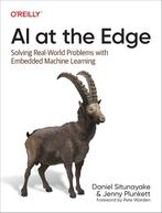 Boek over AI:  AI at the edge, Boeken, Ophalen of Verzenden