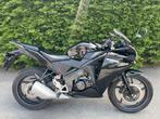 HONDA 125 CBR, 1 cylindre, 125 cm³, Jusqu'à 11 kW, Sport