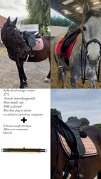 Selle de dressage wintec, Animaux & Accessoires, Chevaux & Poneys | Selles, Comme neuf, Dressage