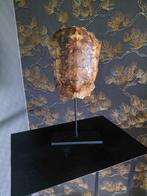 BRUINE SCHILDPAD SCHILD SCULPTUUR, Antiek en Kunst, Ophalen of Verzenden