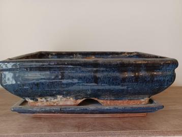 Oude Bonsai Pot  beschikbaar voor biedingen