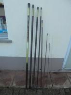 vis hengel  DAIWA 9.5m, Watersport en Boten, Hengelsport | Algemeen, Ophalen, Gebruikt, Vaste hengel