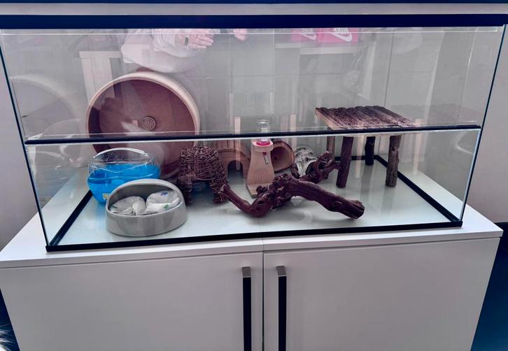 Hamster-terrarium met alle toebehoren, Dieren en Toebehoren, Knaagdieren en Konijnen | Hokken en Kooien, Zo goed als nieuw, Kooi