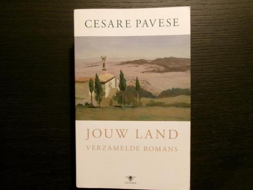 Jouw land  -Verzamelde romans-  Cesare Pavese-, Boeken, Literatuur, België, Ophalen of Verzenden