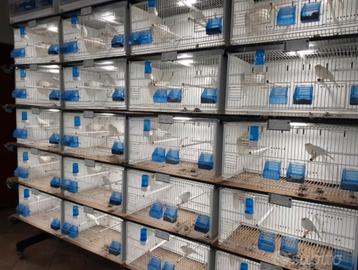 Terenziani CILEA 6040 draadkooien wand 28 stuks als nieuw beschikbaar voor biedingen
