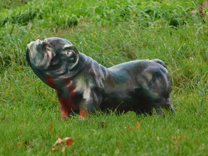 Beeld Bulldog - multicolour - polystone, Tuin en Terras, Tuinbeelden, Dierenbeeld, Kunststof, Ophalen of Verzenden