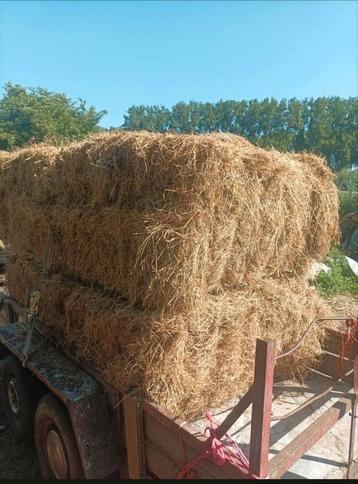 Hooi te koop grote botten 180x120x70 beschikbaar voor biedingen