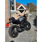 Benelli Leoncino 800, Motoren, Motoren | Benelli, 2 cilinders, 752 cc, Motorrijbewijs A, Particulier