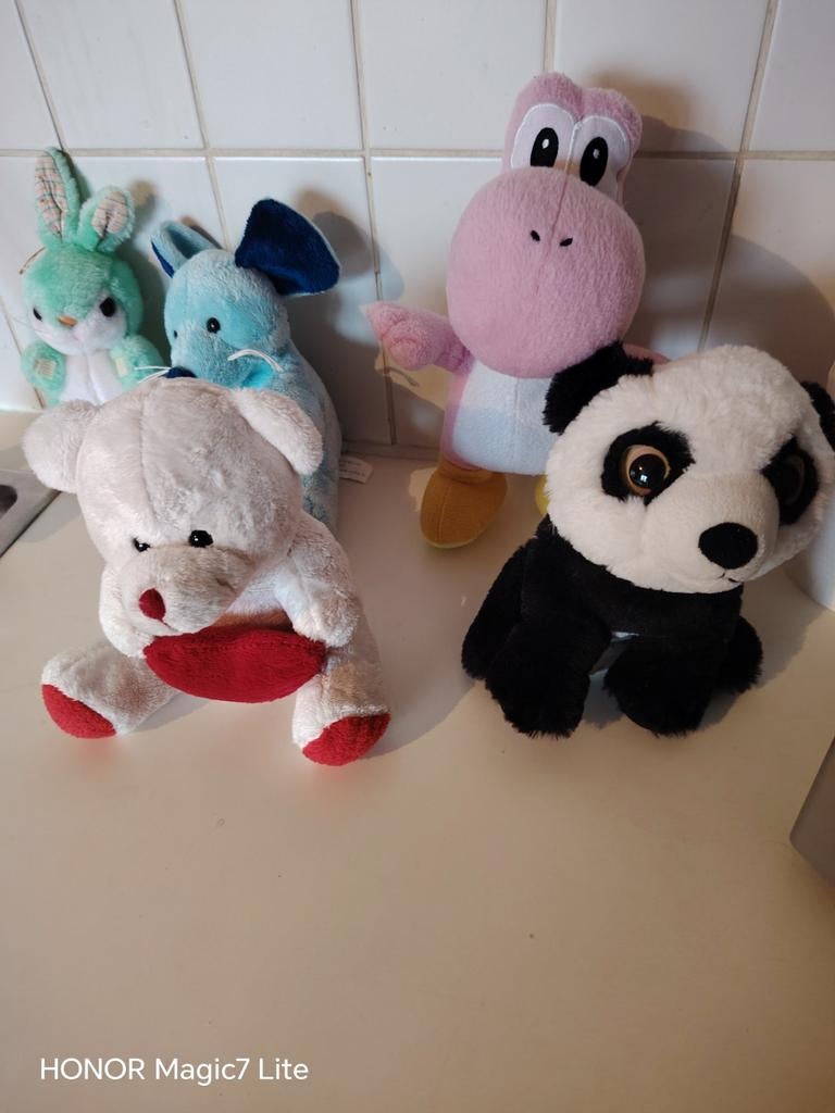 Knuffel beertjes., Enlèvement