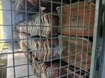 Tuiles de hennuyeres, hennuyeres dakpannen, Doe-het-zelf en Bouw, Ophalen, Gebruikt, Dakpannen
