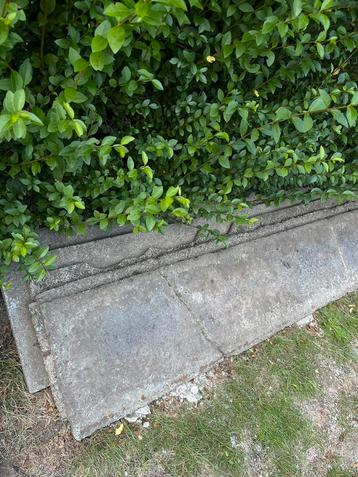 Gratis gewapende betonenplaten en putdeksel, Enlèvement, Utilisé, Béton, Autres types