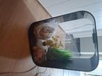 Biorb aquarium, Dieren en Toebehoren, Ophalen, Gebruikt