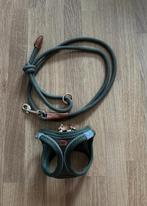 Honden wandelset, Ophalen of Verzenden