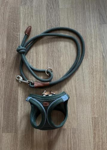 Honden wandelset beschikbaar voor biedingen
