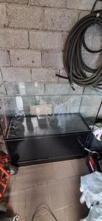 Terrarium, Animaux & Accessoires, Reptiles & Amphibiens | Accessoires, Enlèvement, Comme neuf